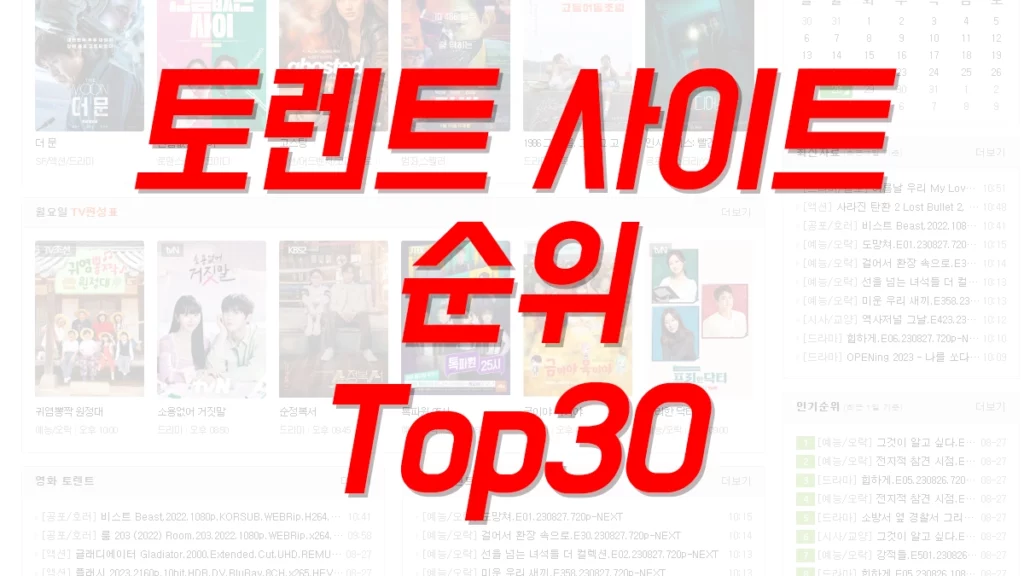 토렌트-사이트-순위-top30
